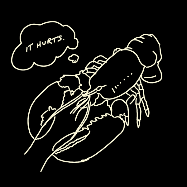 Limited-Run Sad Lobster Tee